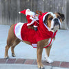 Unique riding santa dog costume - Christmas Santa
